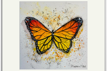 Fluturi Orange butterfly