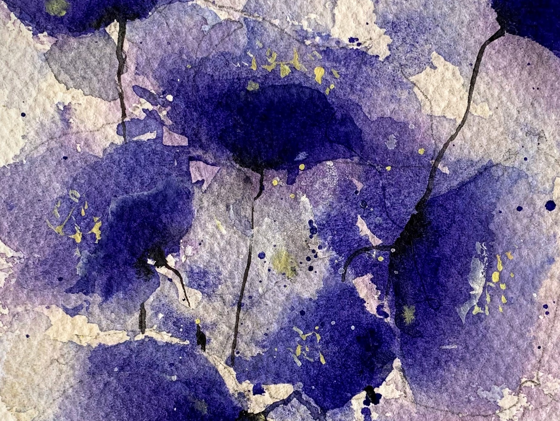 Camp albastru de flori