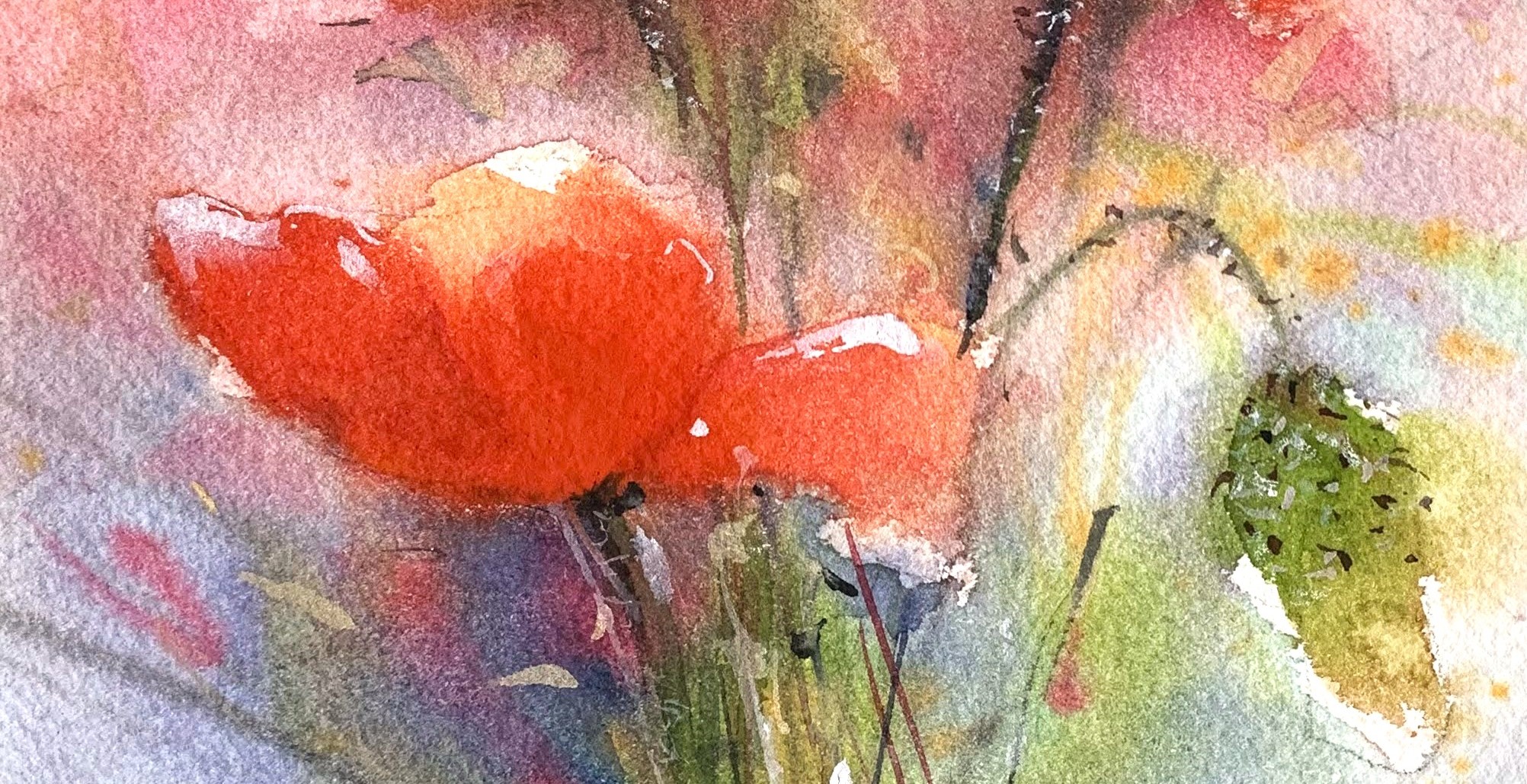 Tablouri personalizate Maci 