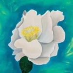 Tablou Canvas Eleganta Alba, pictura in acrilic cu o floare alba mare pe fundal turcoaz