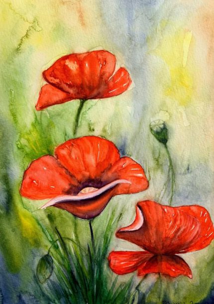 Tablou Maci Red poppies, trei maci rosii pictati manual pe fundal verde-galbui
