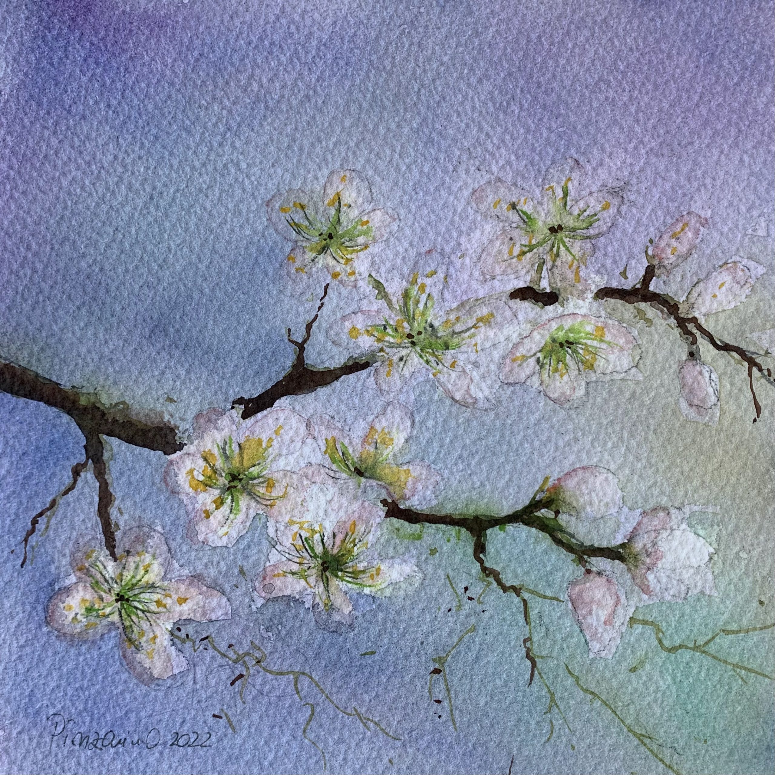 Tablouri-personalizate-Flori-de-caisi-0167-scaled-1.jpg Tablou Flori de caisi