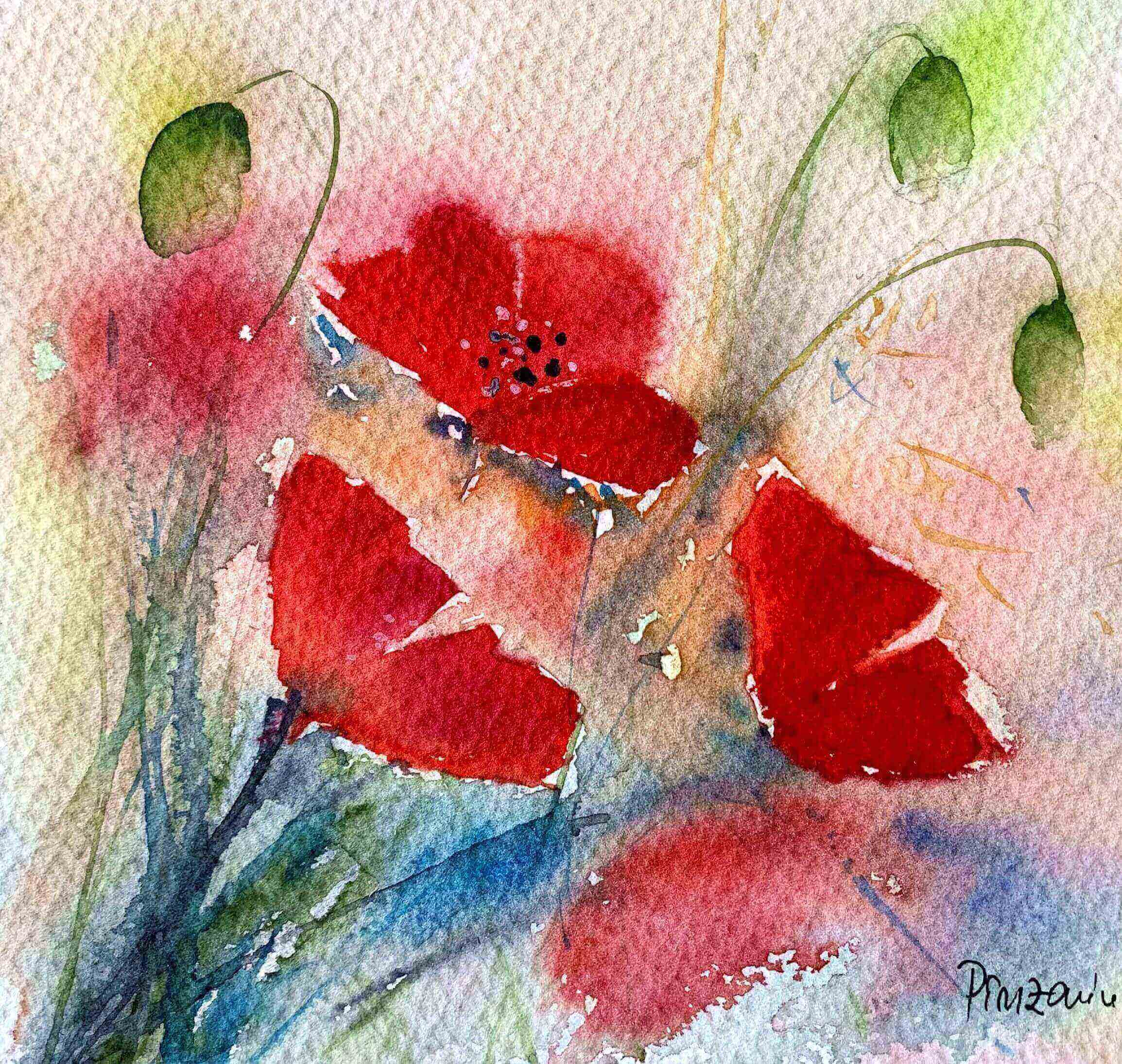 Tablouri personalizate Maci