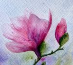 Detaliu din tabloul Magnolie, petalele roz ale florii
