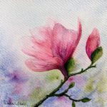 Tablou Magnolie, floare de magnolie roz cu boboc pe o ramura, pe fundal pastel