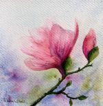 Tablou Magnolie, floare de magnolie roz cu boboc pe o ramura, pe fundal pastel