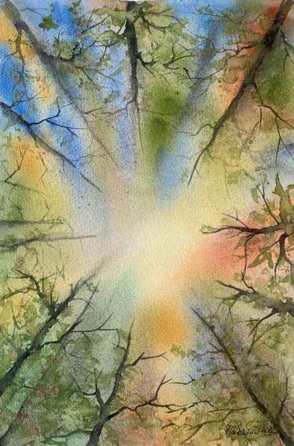 Tablou Forest dream, coroanele copacilor vazute de jos, cu lumina galbena in centru