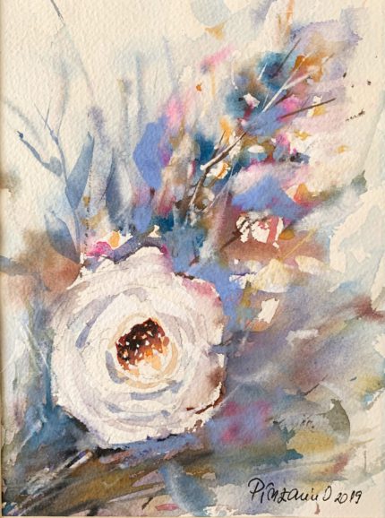 Tablou Trandafir alb, trandafir alb pe fundal pastel in albastru si roz